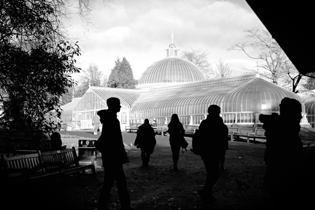 winter kibble palace