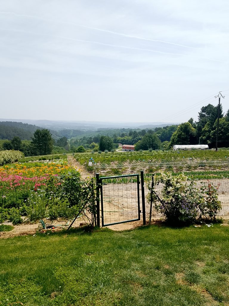 Fleuribelle farm
