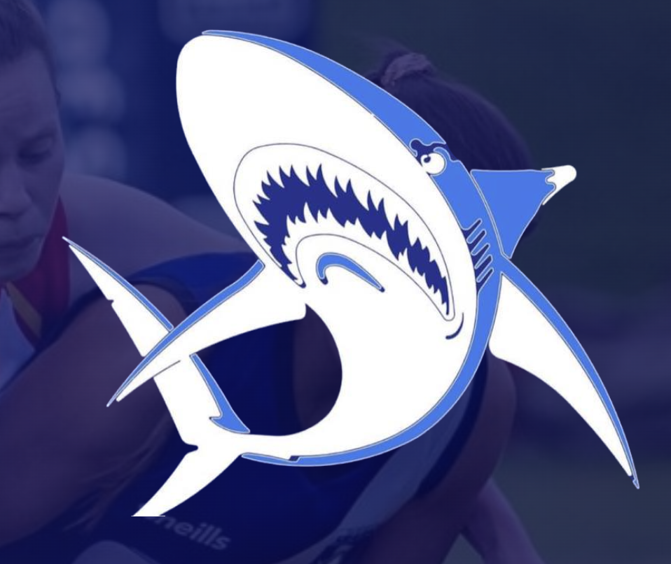 glasgow sharks
