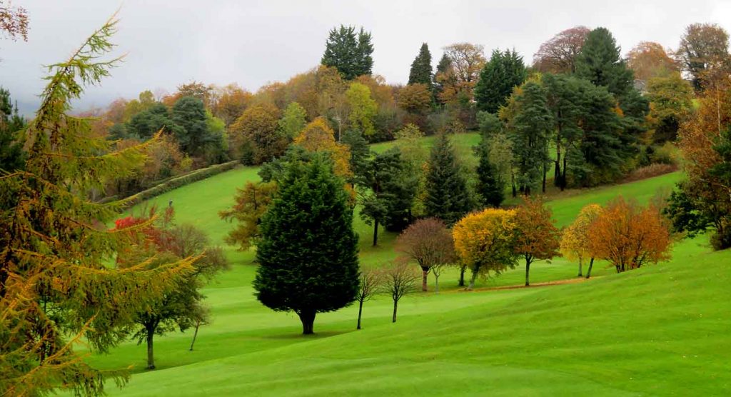 golf course dalmuir