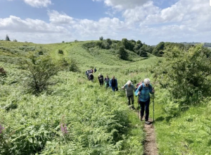 croy hill